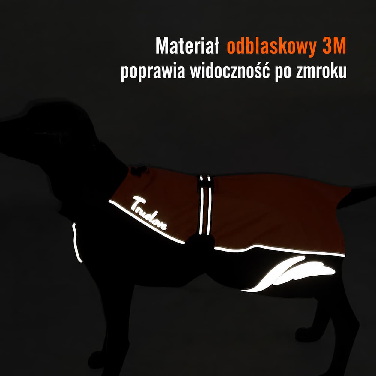 Odblaskowe przeszycie 3M na kurtce zimowej dla psa Truelove Comfort Plus, widoczne po zmroku