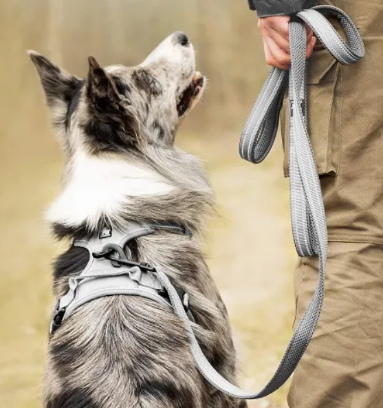 smycz klasyczna 200cm Truelove Active