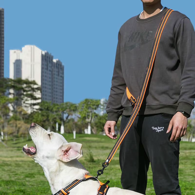 smycz przepinana dla psa Truelove Active Pro