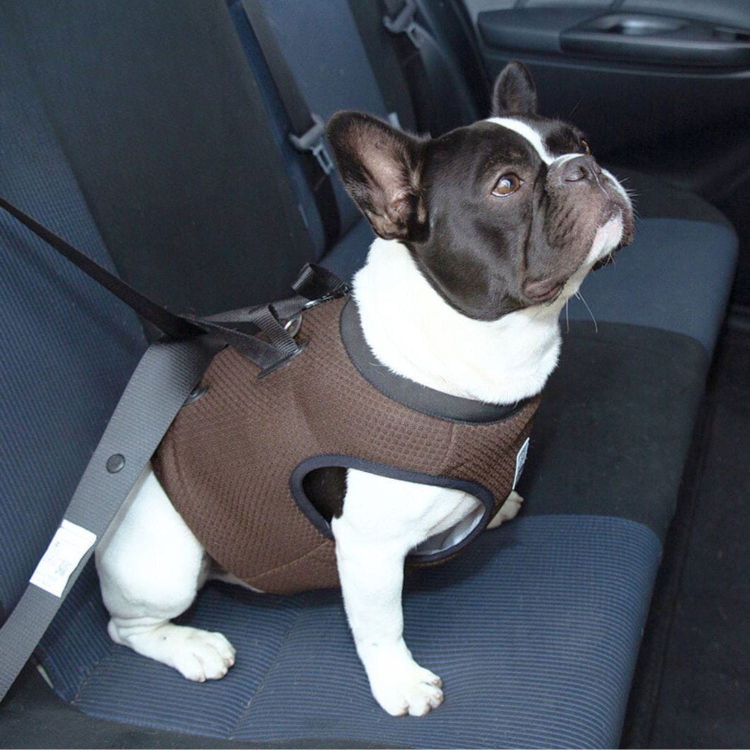 szelki samochodowe z atestem dla psa