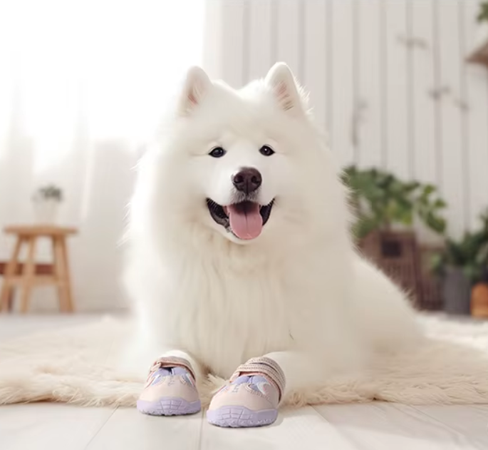 Pies chodzący po domu w komplecie czterech butów Truelove Boho