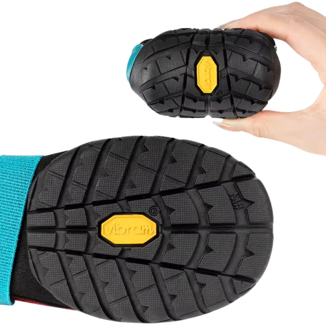 Pies w butach Truelove On Track z podeszwą Vibram na szlaku