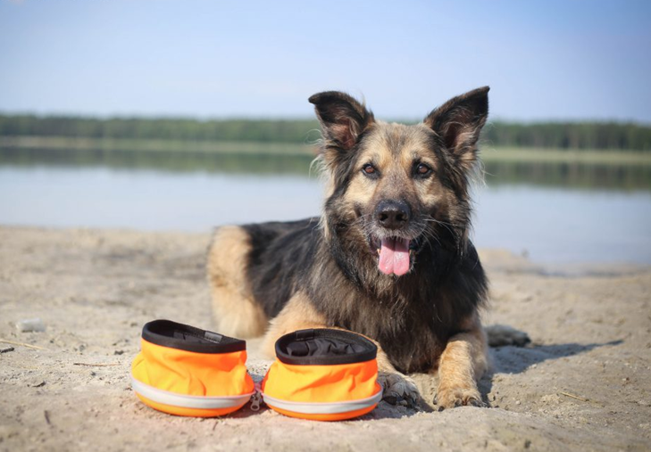 składana miska turystyczna Truelove z dwiema komorami na plaży