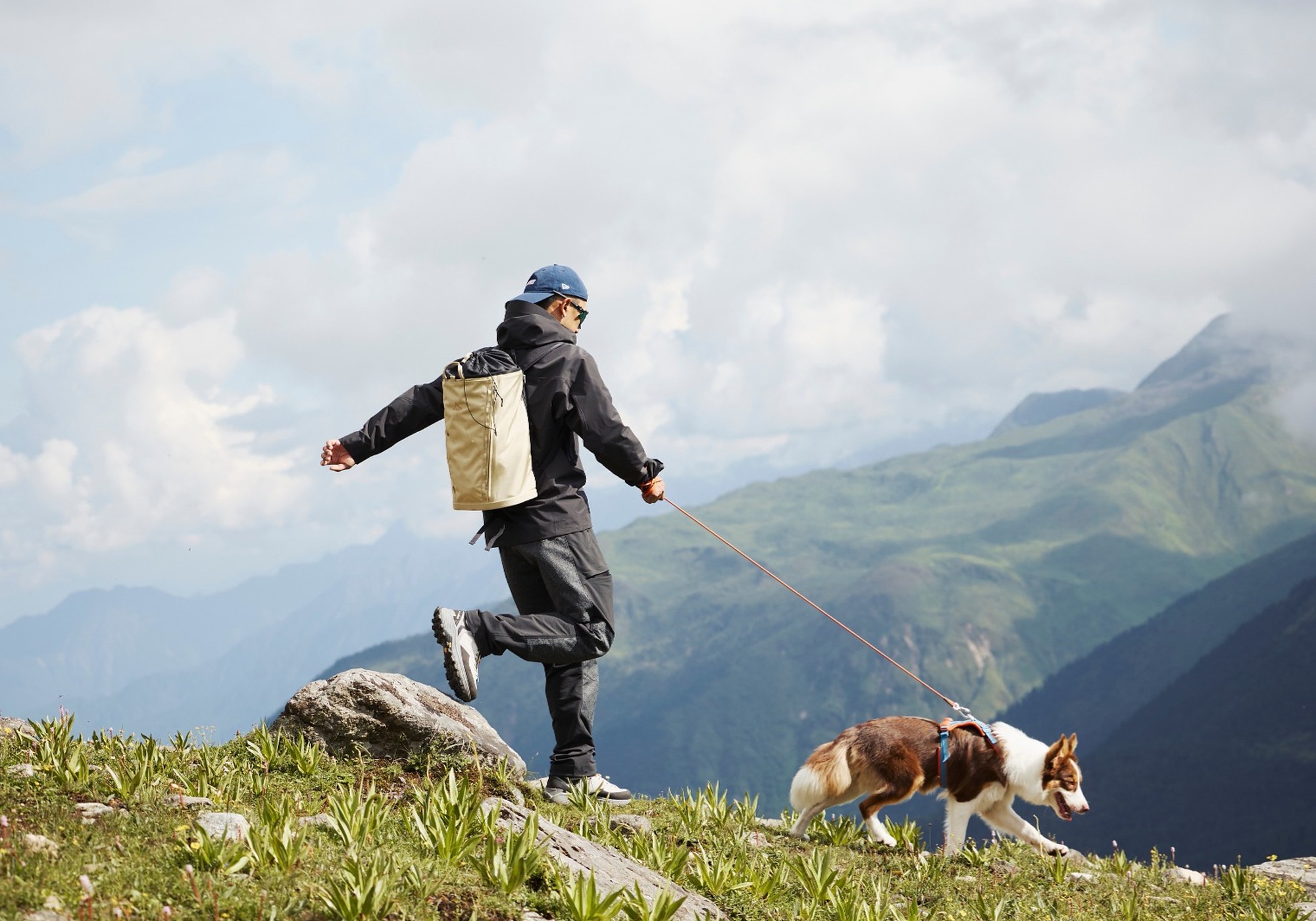 Dogtrekking z psem – jak zacząć? Sprzęt, trening i pierwsze zawody